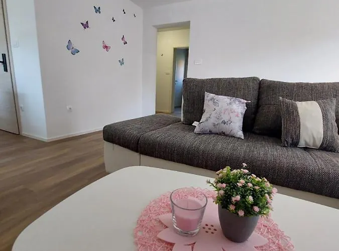 Marica 公寓 克拉尼斯卡戈拉